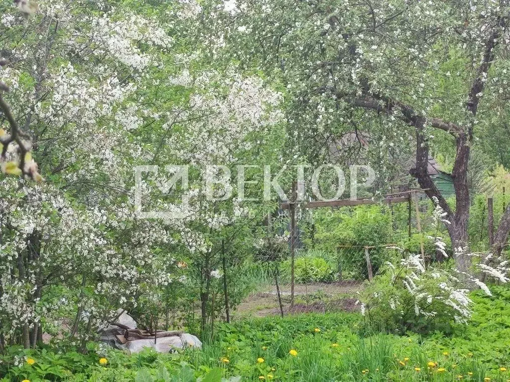 Участок в Костромская область, Кострома Восток-1 СНТ, 75 (8.0 сот.) - Фото 1