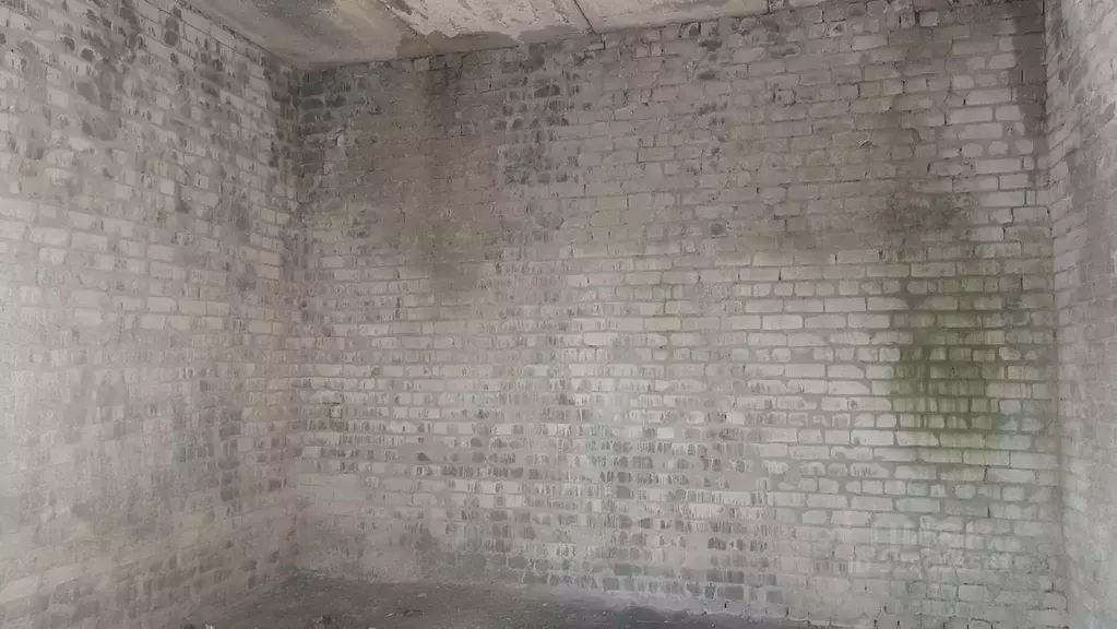 Производственное помещение в Калининградская область, Гурьевский ... - Фото 2