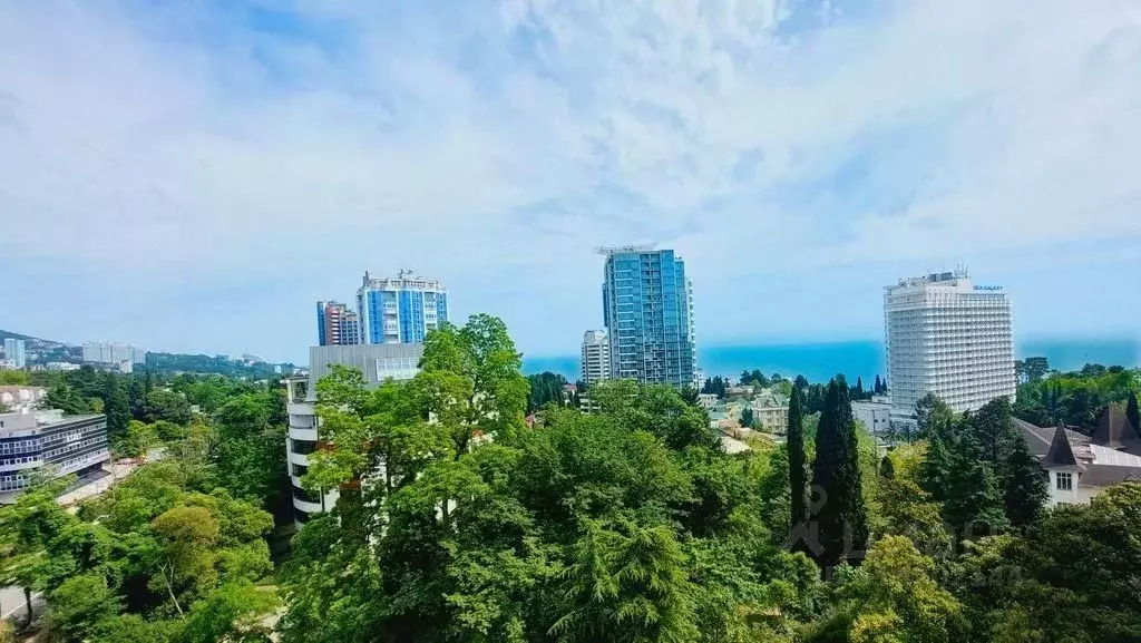 Студия Краснодарский край, Сочи Курортный просп., 75к1 (20.0 м) - Фото 1