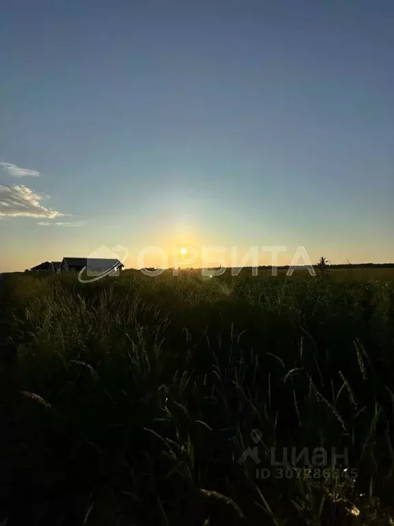 Участок в Тюменская область, Тюмень Большое Царево-2 СНТ,  (10.0 сот.) - Фото 1