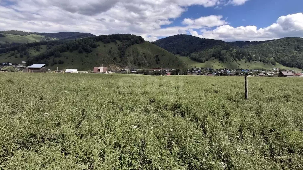 Участок в Алтай, Майминский район, с. Бирюля ул. Светлая, 20 (13.43 ... - Фото 0