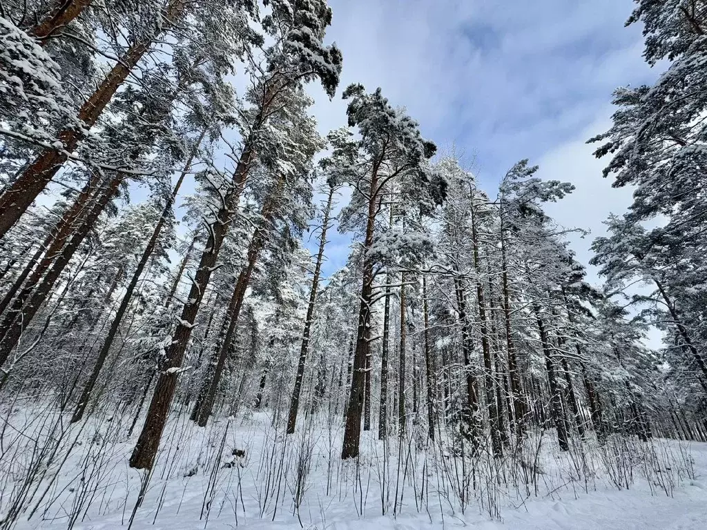 Участок в Ленинградская область, Выборгский район, Полянское с/пос, ... - Фото 1