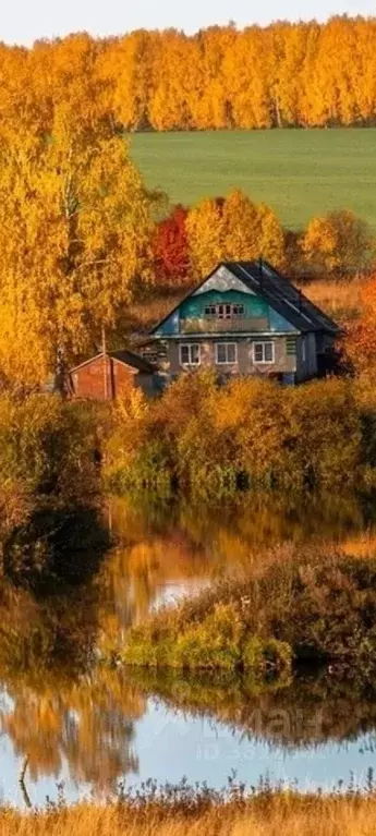 Участок в Ростовская область, Азовский район, с. Круглое ул. Горького ... - Фото 0