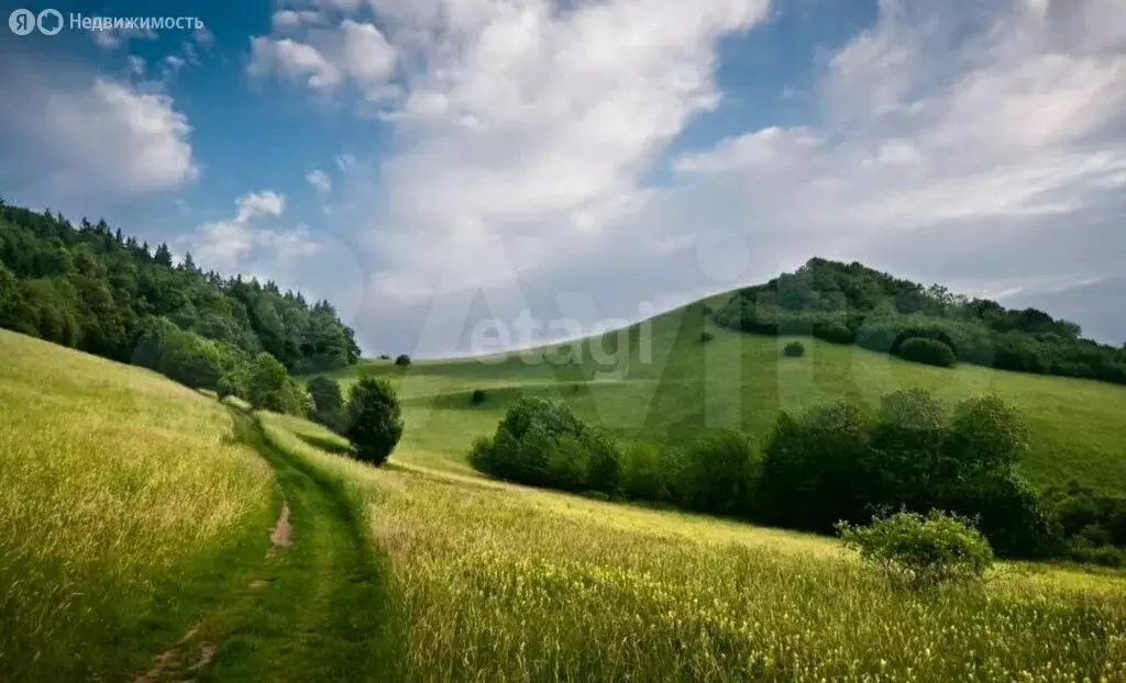 Участок в Калужская область, Дзержинский муниципальный округ, сельское ... - Фото 2