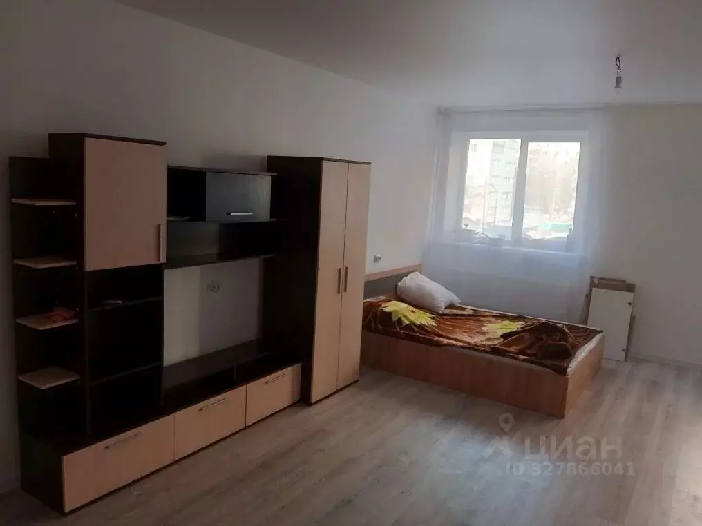 Студия Московская область, Ногинск Богородский городской округ, ул. ... - Фото 1