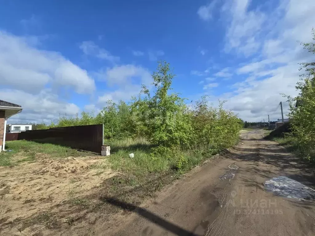 Участок в Воронежская область, Рамонский район, Новоживотинновское ... - Фото 1