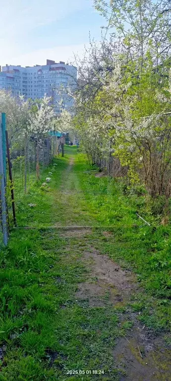 Участок 5,2 сот. (СНТ, ДНП) - Фото 0