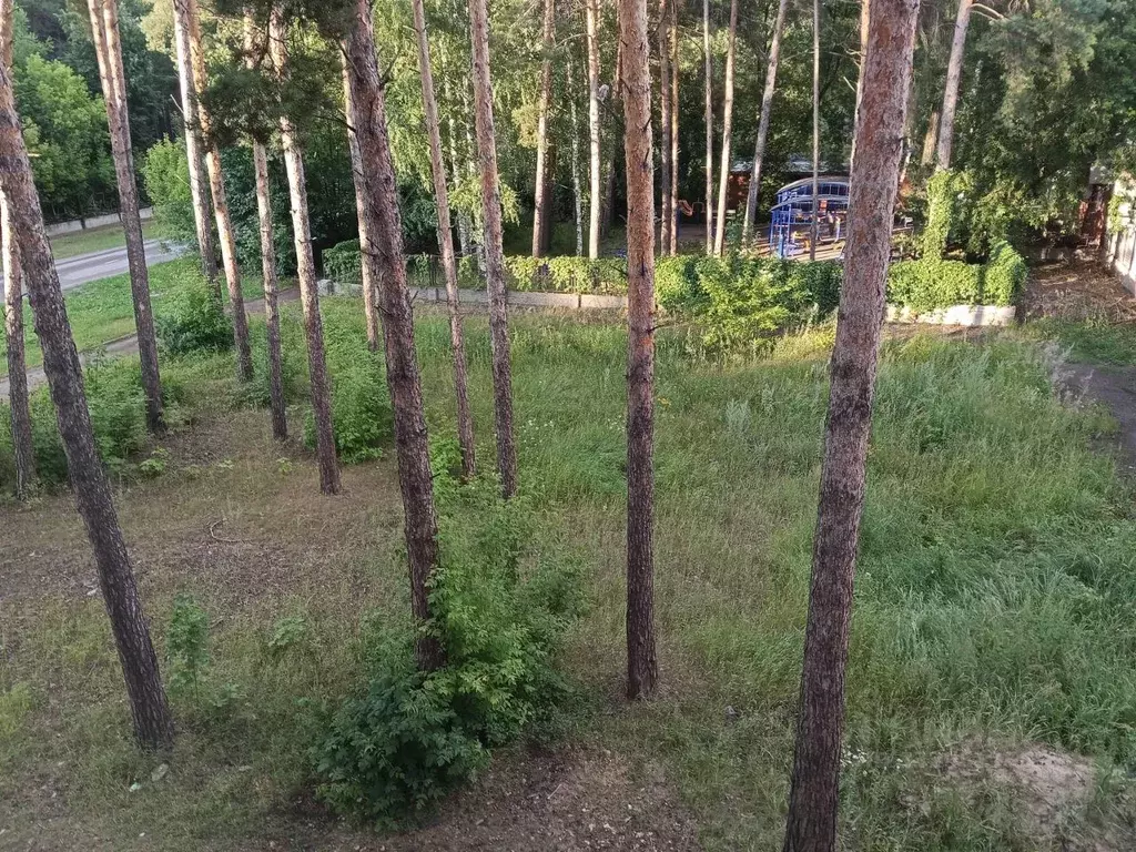1-к кв. Марий Эл, Волжск ул. Дружбы, 23 (33.0 м) - Фото 1
