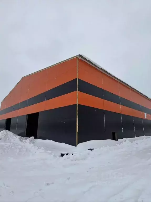 Склад в Московская область, Богородский городской округ, д. Колонтаево ... - Фото 2