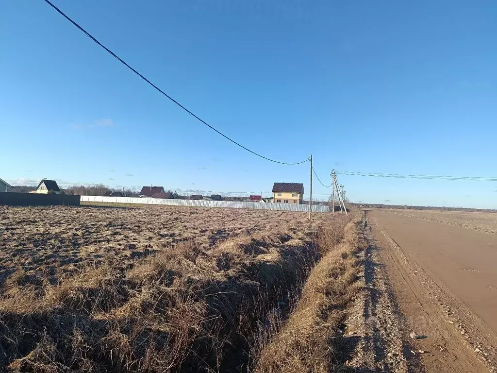 Участок в Новгородская область, Новгородский район, Борковское с/пос, ... - Фото 0