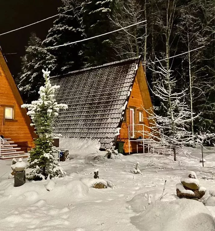 Дом в Ленинградская область, Выборгский район, Советское городское ... - Фото 2