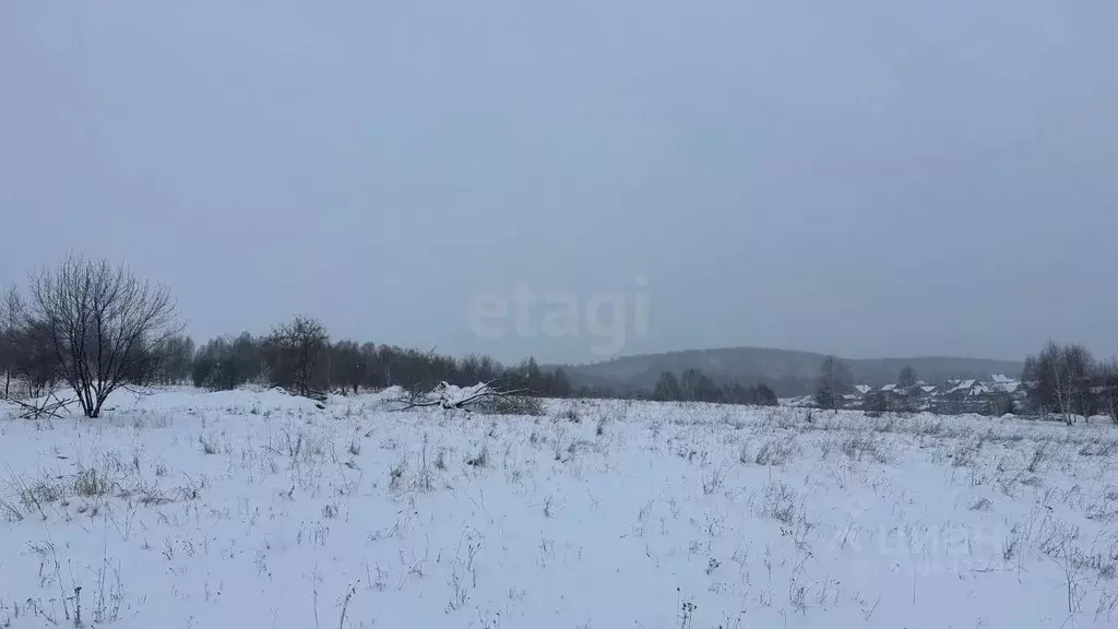 Участок в Кемеровская область, Новокузнецкий муниципальный округ, с. ... - Фото 1