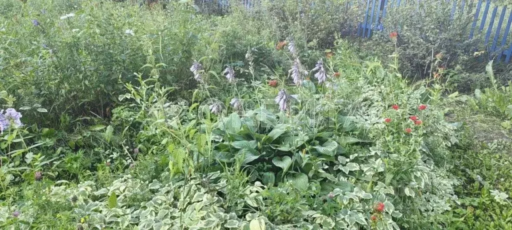 Участок в Тюменская область, Тюмень Яровское садовое товарищество, ул. ... - Фото 1