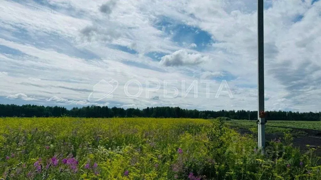 Участок в Тюменская область, Тюменский район, с. Горьковка  (200.0 ... - Фото 1