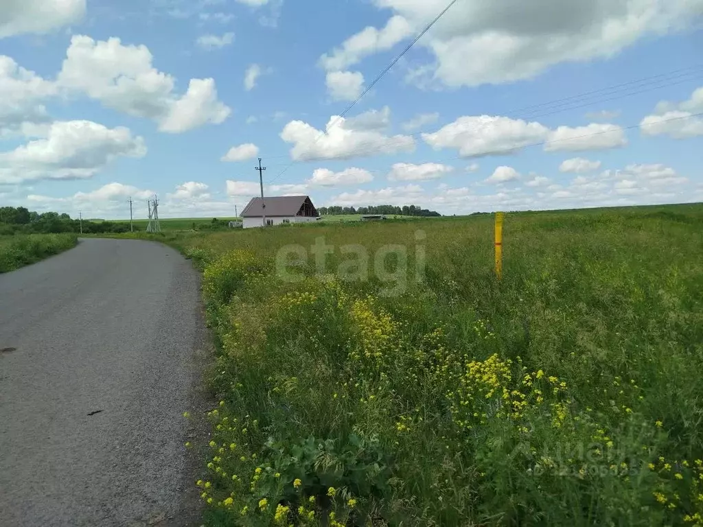 Участок в Кемеровская область, Кемеровский район, с. Ягуново Заречная ... - Фото 1