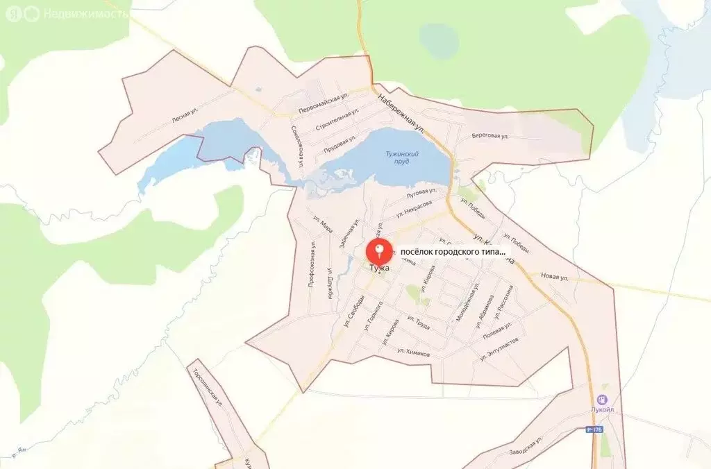 Участок в Тужа, Строительная улица (12.3 м) - Фото 1