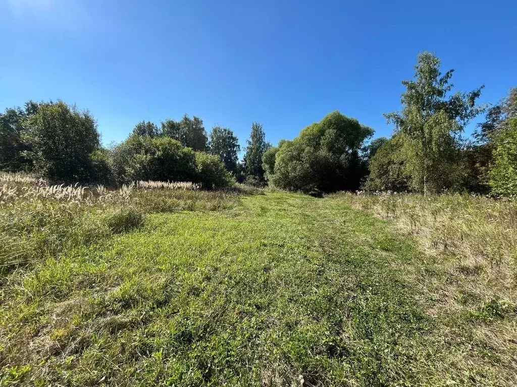 Участок в Владимирская область, Суздальский район, с. Новоалександрово ... - Фото 1