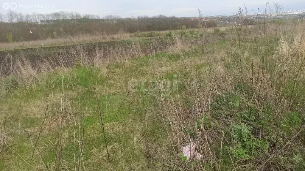 Участок в Ериковское сельское поселение, садоводческое товарищество ... - Фото 2