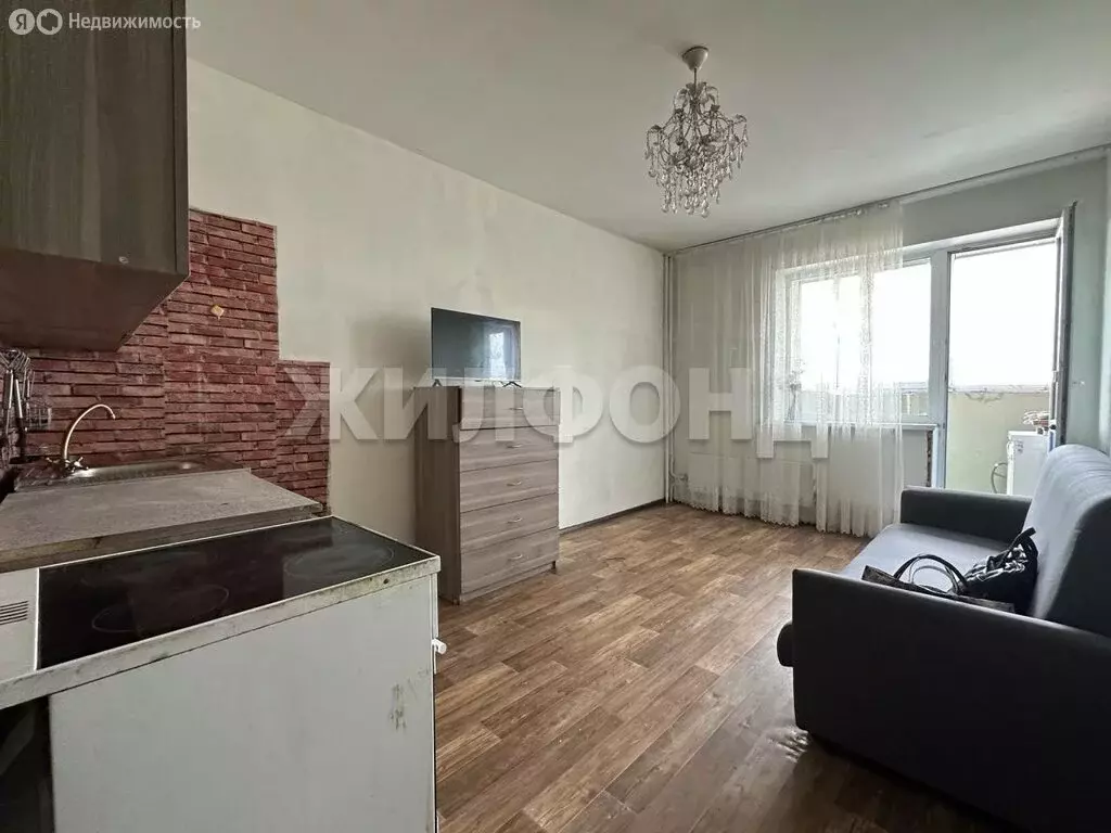1-комнатная квартира: Новосибирск, Первомайская улица, 230 (27.3 м) - Фото 1