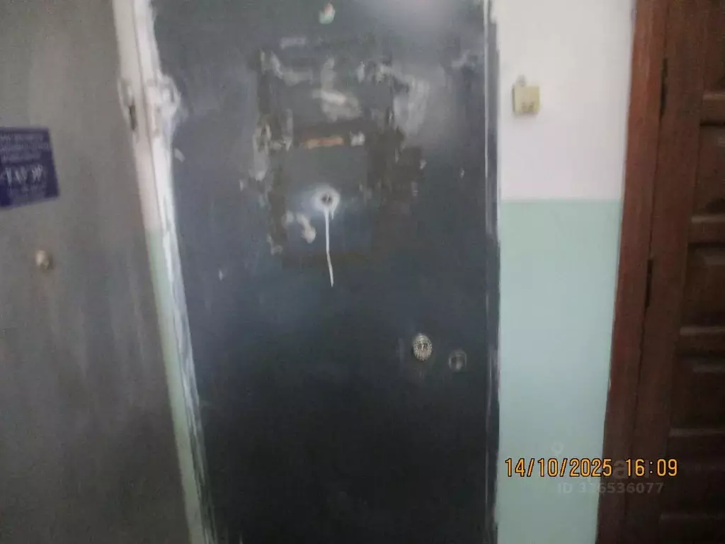 Помещение свободного назначения в Ивановская область, Иваново ... - Фото 2