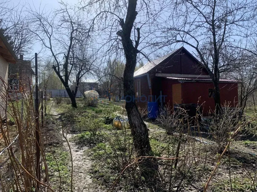 Участок в Нижегородская область, Нижний Новгород 40 лет Победы СНТ, ... - Фото 1