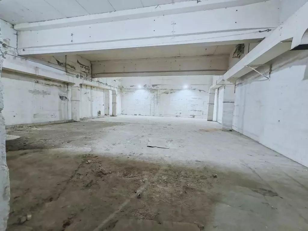 Помещение свободного назначения в Московская область, Ленинский ... - Фото 1