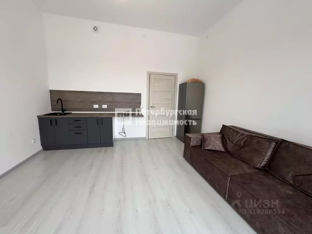 Студия Санкт-Петербург ул. Меридианная, 8 (23.8 м) - Фото 1