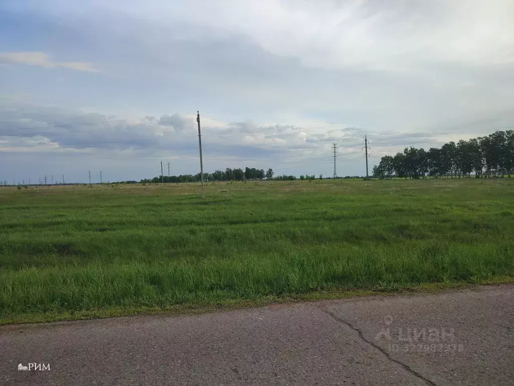 Участок в Омская область, Омский район, Усть-Заостровское с/пос, ... - Фото 2