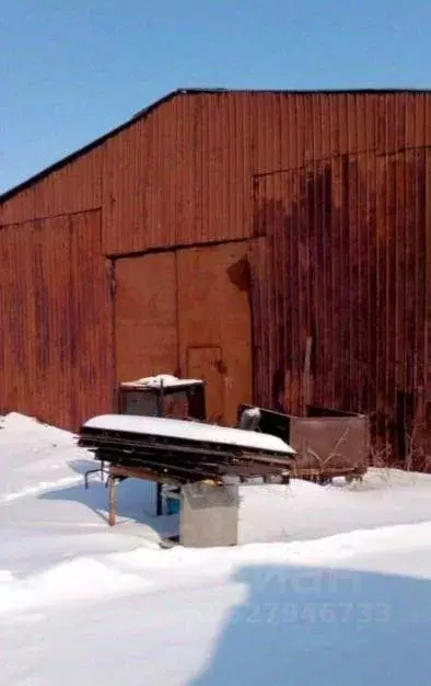 Склад в Курганская область, Макушинский муниципальный округ, с. ... - Фото 1