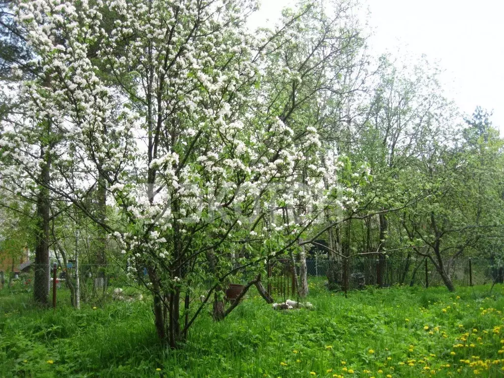 Участок, 6.7 сот., сельхоз (снт или днп) - Фото 1
