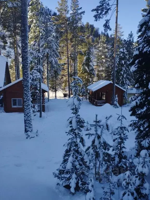 Дом в Алтай, Турочакский район, с. Артыбаш ул. Юртокская, 52 (73 м) - Фото 1