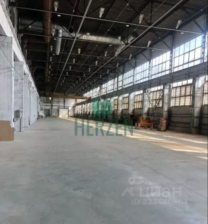 Производственное помещение в Московская область, Реутов Транспортная ... - Фото 1