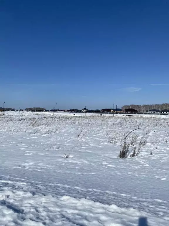 Участок в Тюменская область, Тюменский муниципальный округ, с. ... - Фото 2