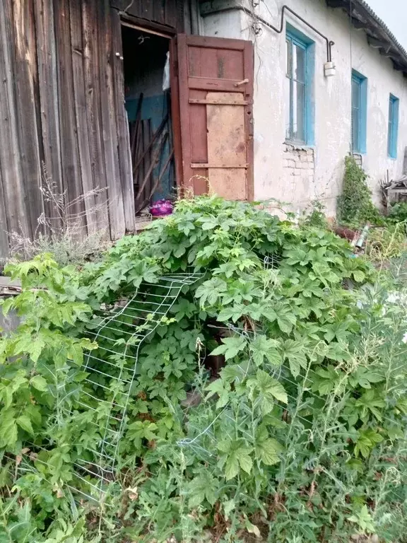 Помещение свободного назначения в Саратовская область, Шиханы  (35 м) - Фото 1