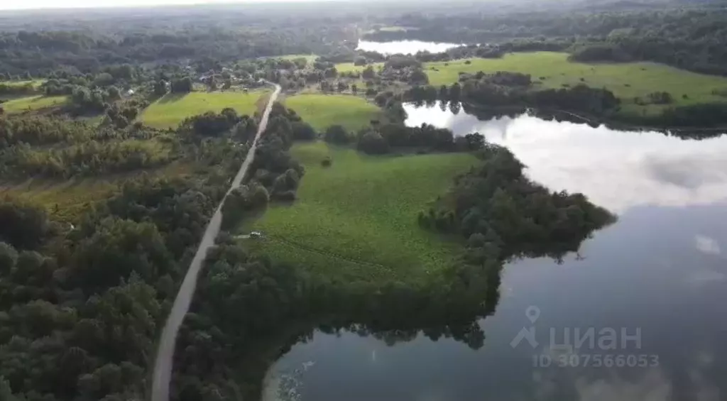 Участок в Новгородская область, Окуловский район, Боровенковское ... - Фото 1