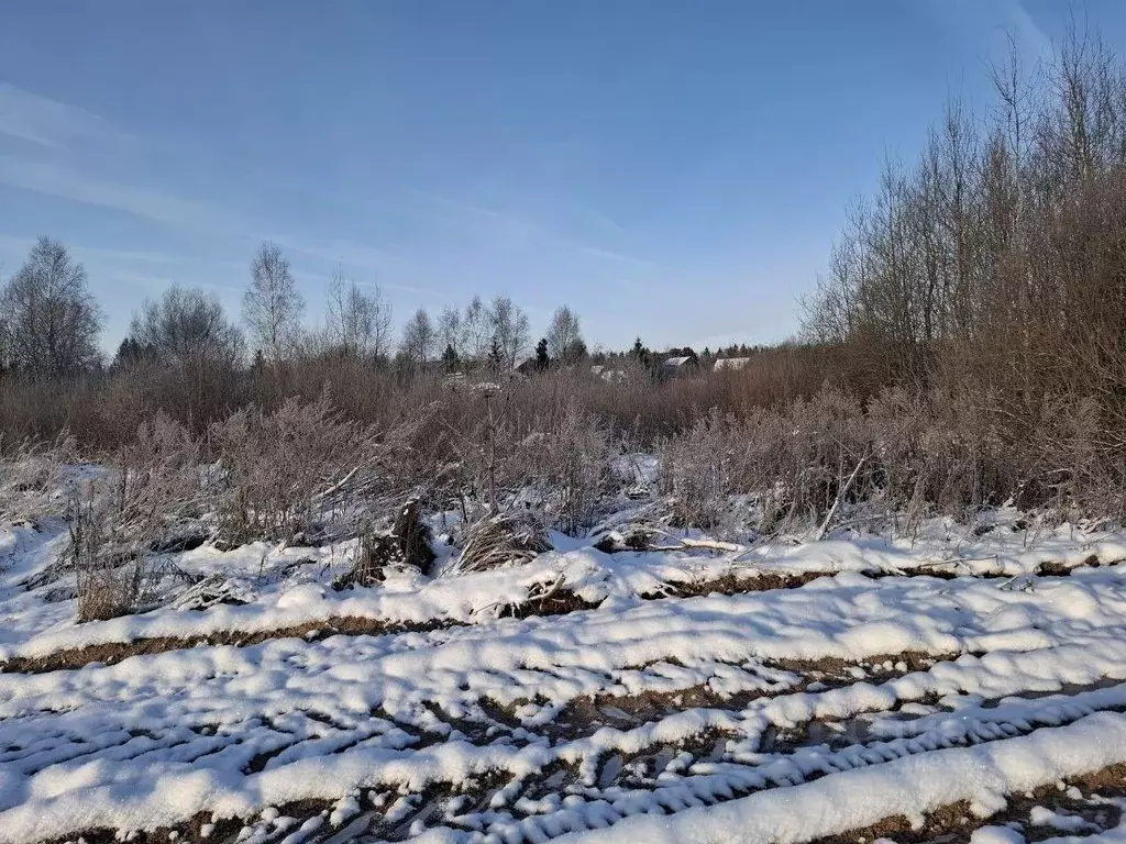 Участок в Московская область, Пушкинский городской округ, д. ... - Фото 1