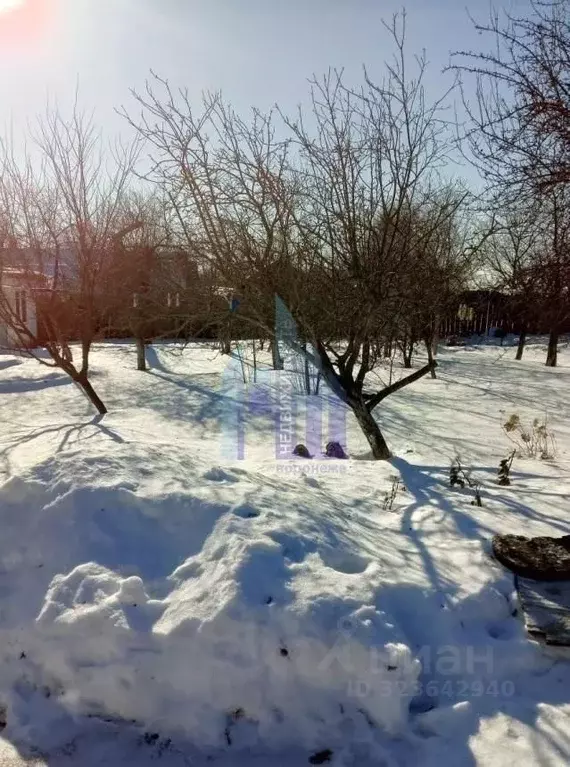 Дом в Воронежская область, Хохольское городское поселение, пос. Кузиха ... - Фото 2