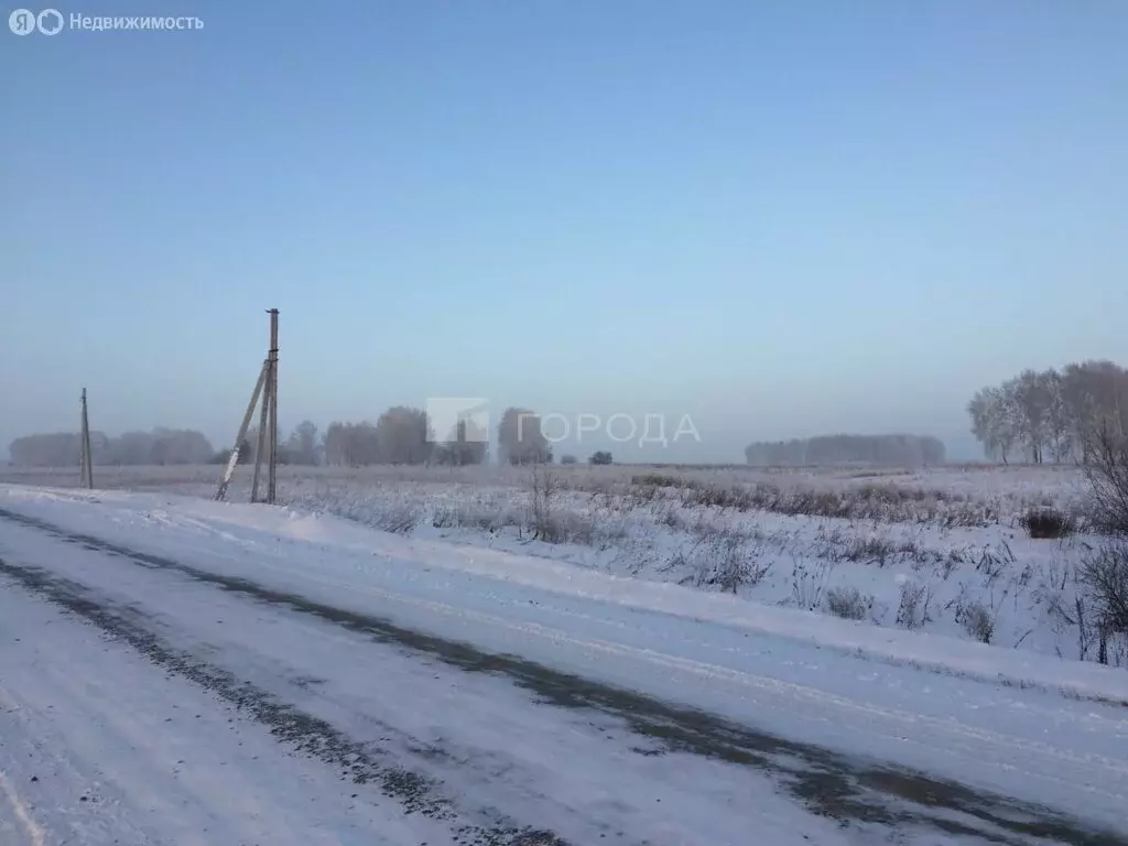 Участок в Мошковский район, село Томилово (6 м) - Фото 1