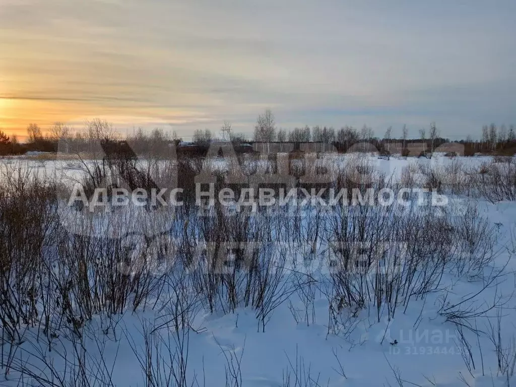 Участок в Тюменская область, Тюмень  (220.0 сот.) - Фото 1