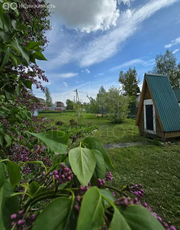 Дом в Сергиево-Посадский городской округ, деревня Несвитаево (101 м) - Фото 1