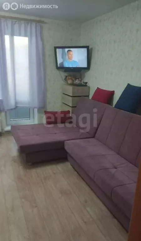Квартира-студия: село Фролы, Весенняя улица, 28 (24 м) - Фото 1