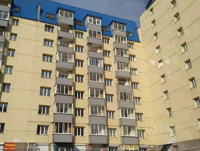 1-к кв. Иркутская область, Иркутск Радужный мкр, 112 (38.0 м) - Фото 0