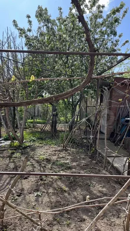 Дом 61,1 м на участке 4,9 сот. - Фото 1