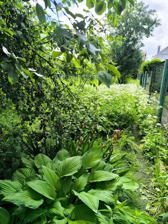 Участок в Московская область, Ленинский городской округ, д. Белеутово ... - Фото 2