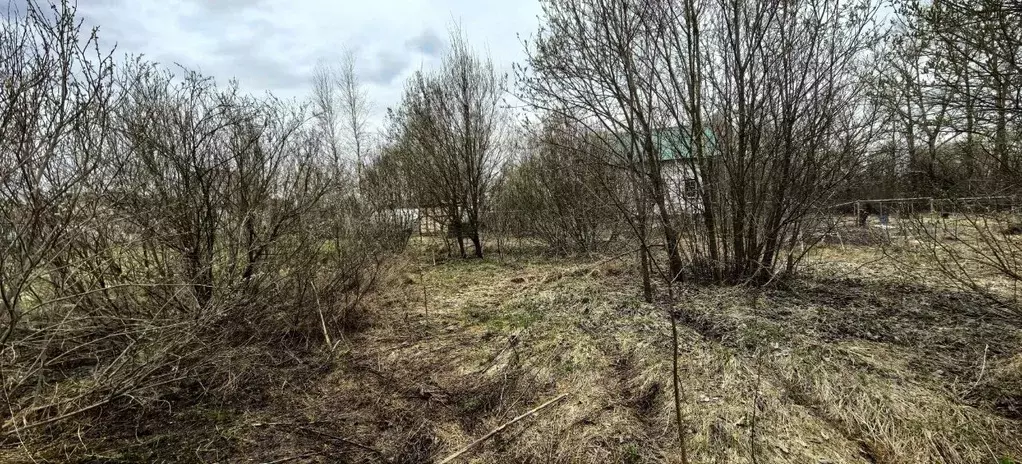 Участок в Московская область, Коломна городской округ, с. Чанки  (15.0 ... - Фото 2