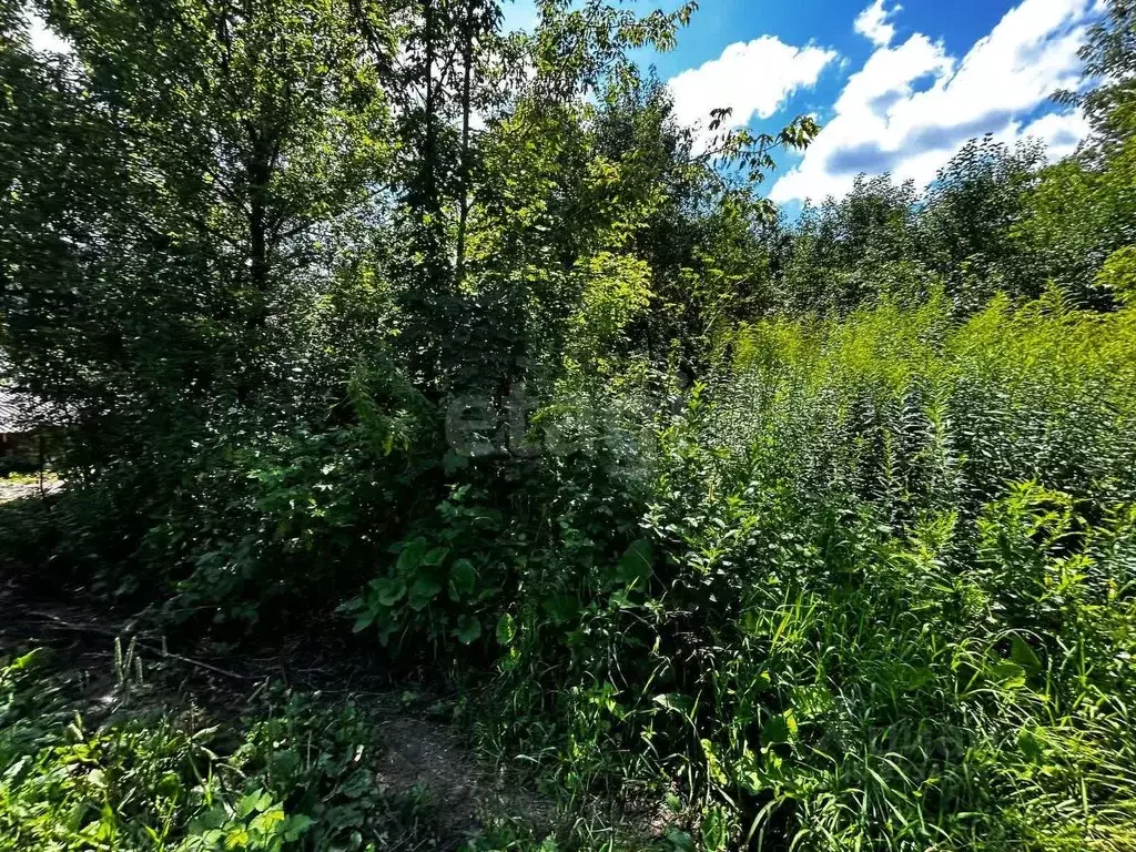 Участок в Алтай, Горно-Алтайск Садовод СНТ, 19 (618.0 сот.) - Фото 1