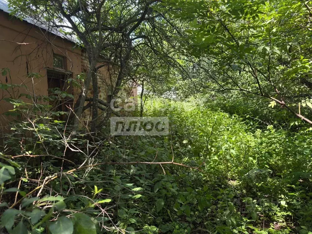 Дом в Липецкая область, Усманский район, Студено-Высельский сельсовет, ... - Фото 2
