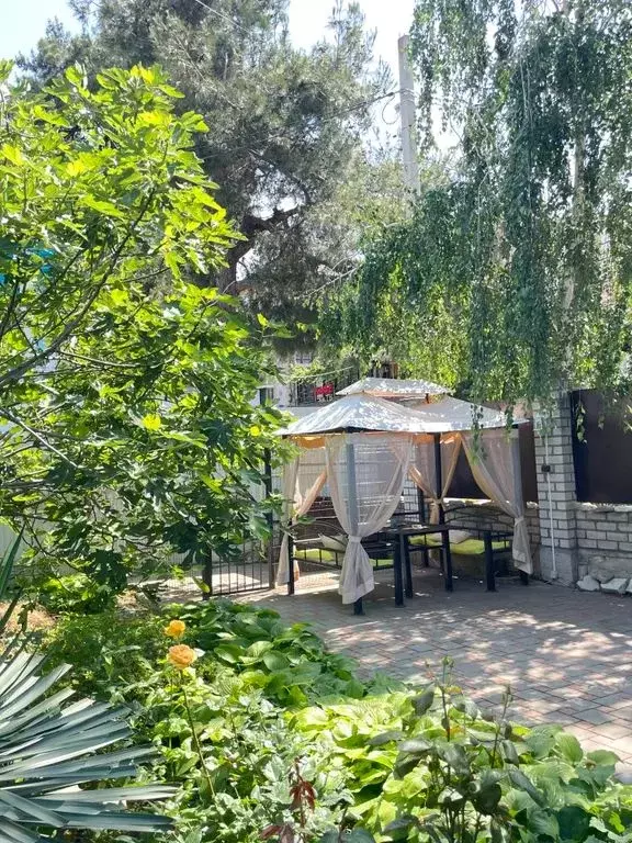 Дом в Краснодарский край, Геленджик городской округ, с. Дивноморское ... - Фото 1