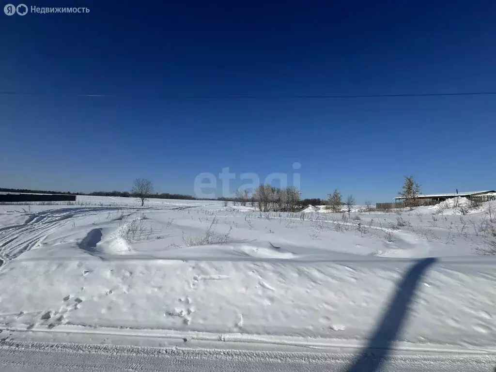 Участок в Камышлов, Степная улица (12 м) - Фото 2