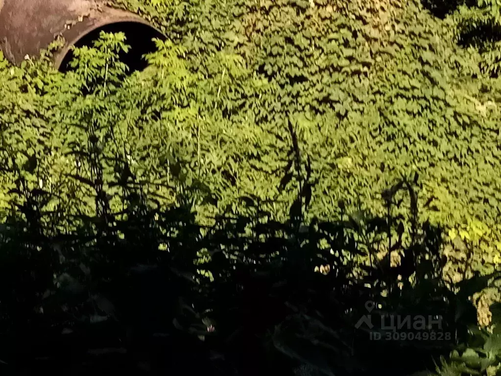 Участок в Ульяновская область, Ульяновск  (6.64 сот.) - Фото 2